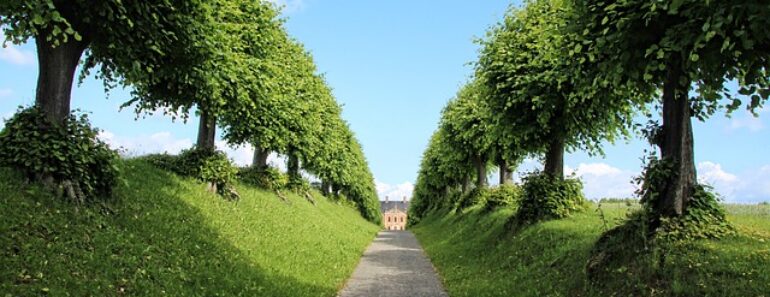 Comment choisir le broyeur de branches idéal pour votre jardin